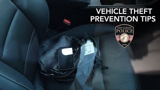 Vehicle Theft Prevention Tips