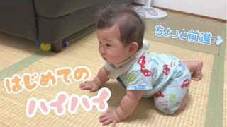 【初めてのハイハイ】生後8ヶ月の赤ちゃんが初めて前進する瞬間