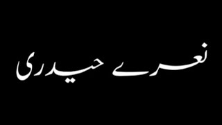 Jaanam Fida-e-Haideri | Amjad Baltistani | Mola Ali Manqabat | Black Screen Status | WhatsApp status