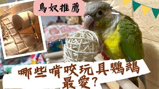 【抽獎】我該買什麼類型的啃咬玩具❓開箱蝦皮《寵物覺醒》的啃咬玩具，佈置一座鸚鵡樂園 #鸚鵡 #啃咬玩具 #鳳梨小太陽