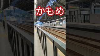 何両？【新幹線・通過】西九州新幹線嬉野温泉駅　かもめ通過。 #shorts