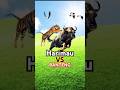 Harimau vs banteng#animals #hewanberbahaya #shortsvideo #animation #@New_animals99