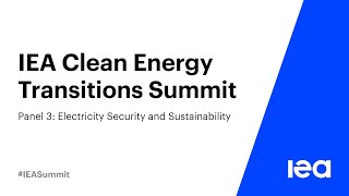 Panel 3: Electricity Security and Sustainability