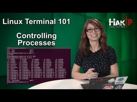 HakTip - Linux Terminal 101: Controlling Processes HakTip - Linux Terminal 101: Controlling Processes