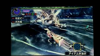 【MHXX】ゼルダの伝説・勇気の試練　ペア　2'29\