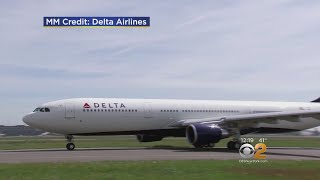 Delta's Online Chat Service Hacked