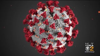 What Lessons Have We Learned From The Coronavirus Pandemic?