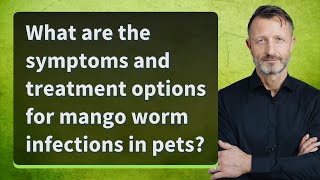 What are the symptoms and treatment options for mango worm infections in pets?