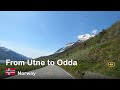 ROAD TRIP Norway | From Utne To Odda In Breathtaking Hardanger in 4K