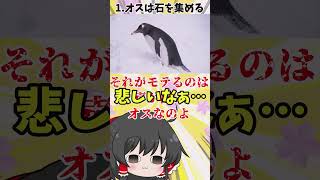 ジェンツーペンギンの子育て期間がマジで大変すぎる！【ゆっくり動物解説】#shorts