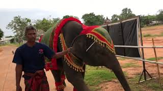 ญาญ่าคนสวยได้ชุดสวยฉลองชุดใหม่ใส่บาตรส่งบุญไปให้คุณป้าฝนนะค่ะ❤️🐘❤️🐘