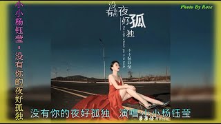 【没有你的夜好孤独】演唱 :小小杨钰莹