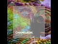 Boris Brejcha - Chameleon (Orginal mix)