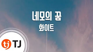 [TJ노래방 / 멜로디제거] 네모의꿈 - 화이트 / TJ Karaoke
