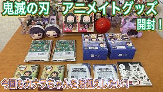 【鬼滅の刃】アニメイトで購入！今回もカナヲちゃんをお迎えしたい！プレミア公開！フィンガーマスコット、ちまっ！きゃら、ちょこりんマスコット、絵札缶バッジ【グッズ開封】【きめつのやいば】【ココちゃんねる】