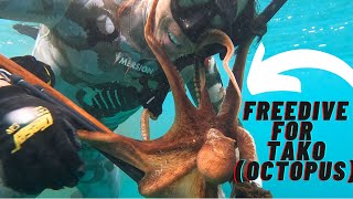 Freediving for Tako (Octopus)