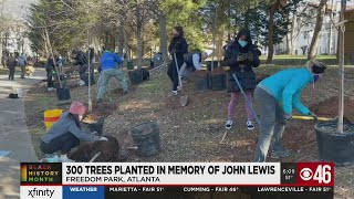 300 trees planted in memory of John Lewis