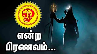 ஓம் என்ற பிரணவம்...தாற்பரியம் அறிவோம்