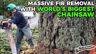 World's BIGGEST Chainsaw?! Cutting Down A GIANT TREE! - Douglas Fir Removal