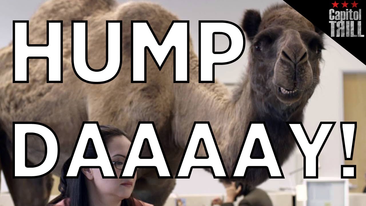 Hump Day Camel Geico Camels It S What You Do Foxsylvania