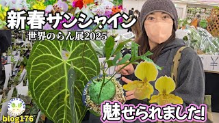 【百花繚乱🌸】植物の魅力を存分に楽しんだ初日レポート🌱