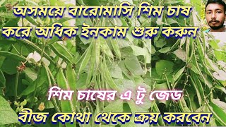 অসময়ে বারোমাসি শিম চাষ করে অধিক ইনকাম শুরু করো,বর্ষাকালে শিম চাষ,bean cultivation,sim chas