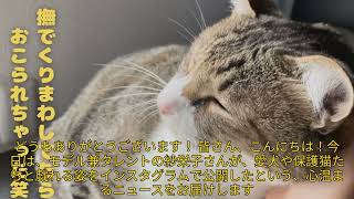 【エンタメ】「紗栄子の愛犬＆保護猫との癒しのひととき！猫耳ニットであざと可愛い姿も公開」 #紗栄子, #猫耳ニット, #癒しの時間,