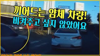 8206회. 한참을 기다려서 겨우 진입하는데, 얌체처럼 끼어드는 차와 사고가 났습니다.