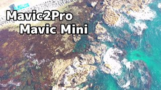 🎮スマートコントローラ🎮Mavic PRO2＆Mavic Mini【空撮】