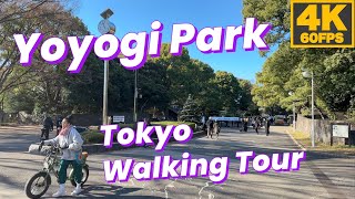 [4K 60fps] Yoyogi Park Tokyo Winter 2023 🇯🇵 代々木公園