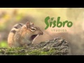 Chipmunk Sings Sisbro