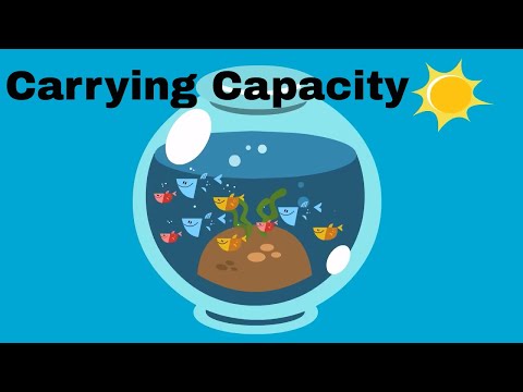 What is the largest population an environment can support called?