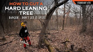 How to Cut a Hard Leaning Tree - Don't Let it Split | Dream Farm w/ Bill Winke