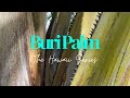 The Buri Palm - The Hawaii Series