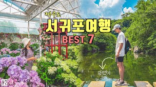 Recommend a must-visit destination in Korea✨Jeju Island Seogwipo Travel Guide‼️Korea Travel Vlog🇰🇷