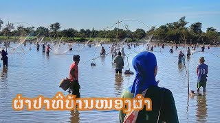 ຜາປາບໍ່ຫຼວງ ບ້ານໜອງຜຳ ຄົນເກືອບພັນ ∆ จับปลาหนองของหมู่บ้าน หาอยู่หากินแบบธรรมชาติ Fishing in Laos