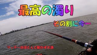 クロダイ落とし込み関西　2020 NO.4　Japan black sea bream fishing