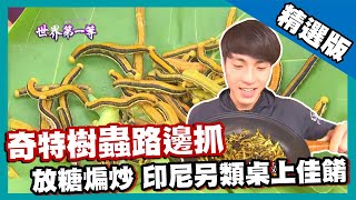 【印尼】泗水熱炒100 奇特佳餚煸炒毛毛蟲｜《世界第一等》747集精華版