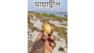 মায়াদ্বীপ || Mayadip || চরে এক বেলা || সোনারগাঁও , নারায়ণগঞ্জ || Sonargaon , Narayanganj |