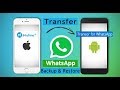 Transfer WhatsApp between iPhone and Android | iMyFone iTransor for WhatsApp (Giveaway)