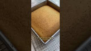 Vanilla Wacky Cake