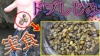 ヘドロの中から獲れたしじみを食べてみたら・・・