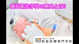 【新宿医療専門学校】歯科衛生学科の魅力に迫る！