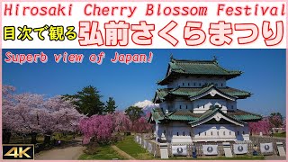 絶景【弘前さくらまつり】壮大な桜の物語▽弘前城+岩木山+桜の華麗なる輝きを体感できます▽Let's go to the Hirosaki Cherry Blossom Festival!