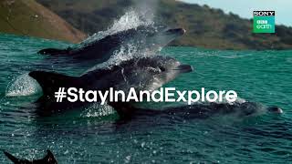 Stay In And Explore Stories Of Our World! | Sony BBC Earth