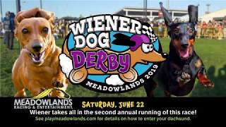 Wiener Dog Derby 2019