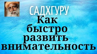 Садхгуру - Как быстро развить  внимательность.