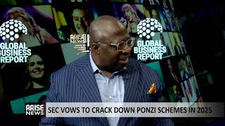 Nigeria SEC Can’t Eradicate Ponzi Schemes But Can Reduce Them - Chika Mbonu