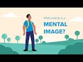 Imagery Education - QUT | Punchy Digital Media