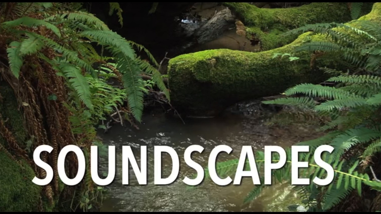 Soundscapes Part 1 Youtube